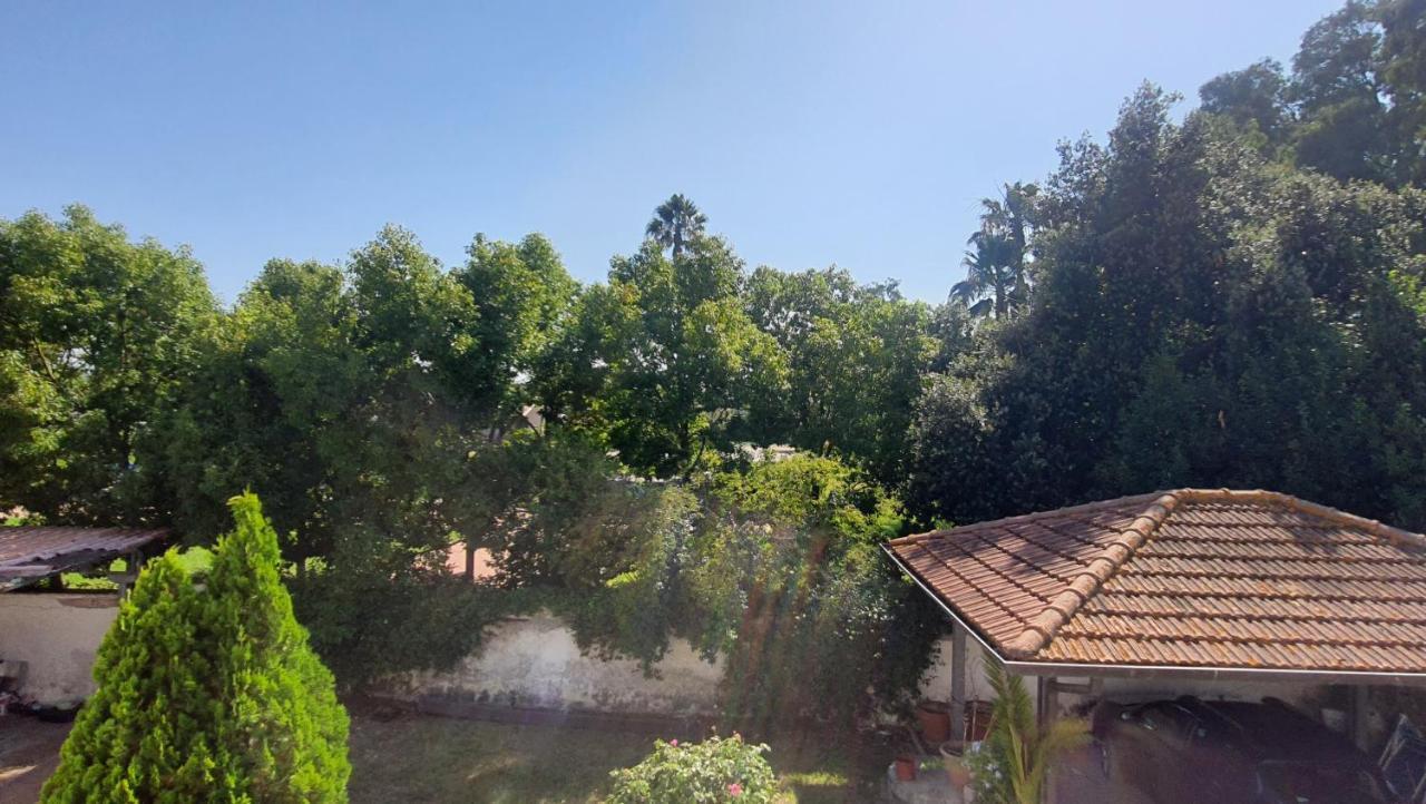 B&B Tenuta Di Vado Piano Nella Selva Di Circe Cerasella Exterior photo
